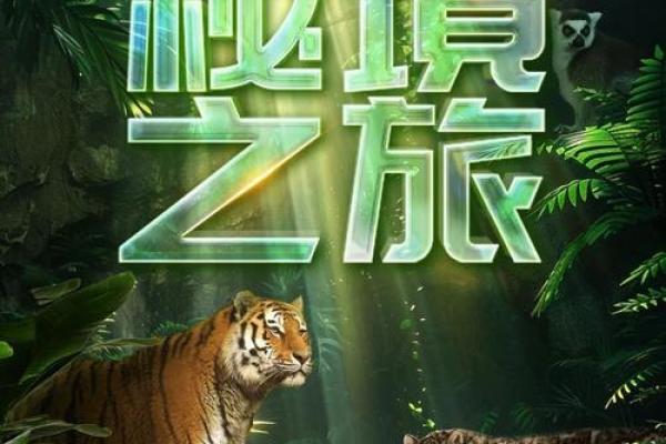 木鼠命桑木命缺什么：探寻生命能量的平衡之道