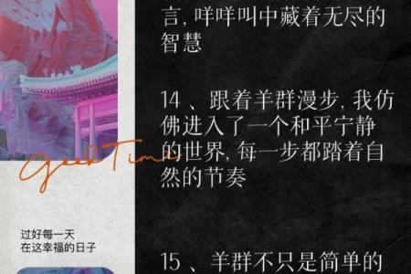 探索满羊命的深意与生活智慧