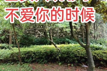 命好福厚之人的征兆：七大特征让你一眼识破