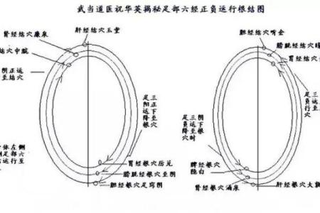 揭秘:命格高贵者的独特征兆与人生轨迹