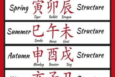 揭开美容师命局的秘密:如何通过命理提升职业运势