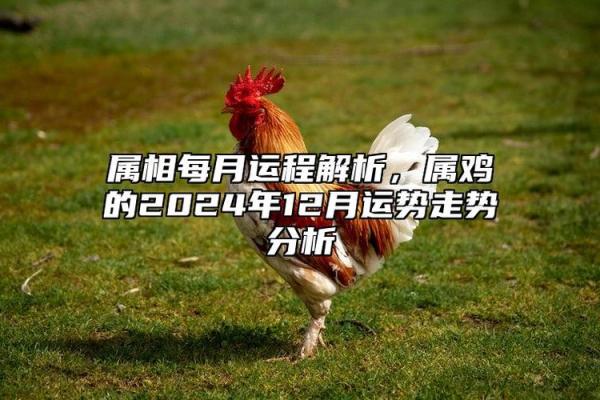 2005年属鸡女命解析：如何把握命运，实现人生理想！
