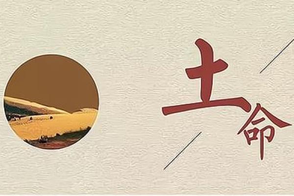 木鼠命之人适合从事的生意与财富提升之道