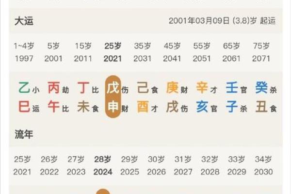 女命忌官星的深刻解析与命理影响