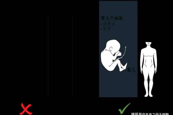 揭秘李命格：生命中的潜能与挑战