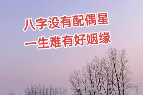 命局中没有配偶星：解读单身背后的深意与人生香气