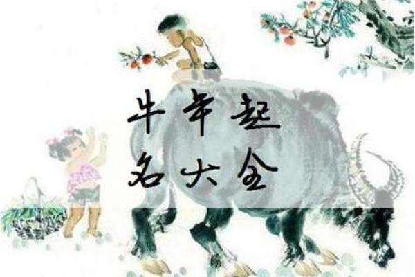 牛年女孩命理解析：小名背后的深意与人生方向