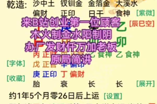 探索命理的奥秘：木火金水的命运之旅