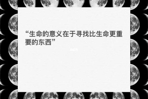 女人下辈子拼什么？探寻生命的价值与意义