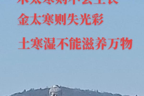 六楼金木水火土：命理中的五行哲学解读与人生的启示