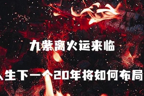 探秘九紫离命：揭开命理学中的神秘面纱