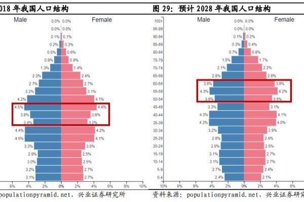 探索六九年处女座的命运与性格特征：深入剖析其生活挑战与机遇