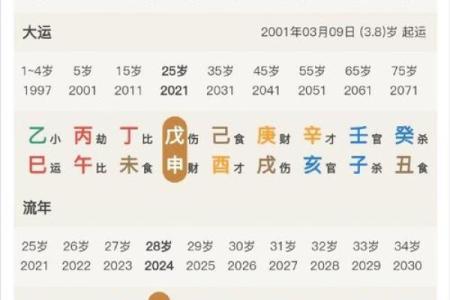 女命忌官星的深刻解析与命理影响