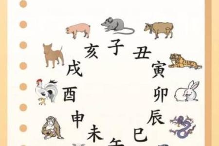 探索女命巳寅子卯：命理的深邃与人生的智慧