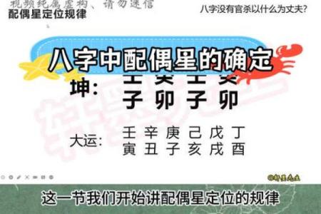命局中没有配偶星：解读单身背后的深意与人生香气