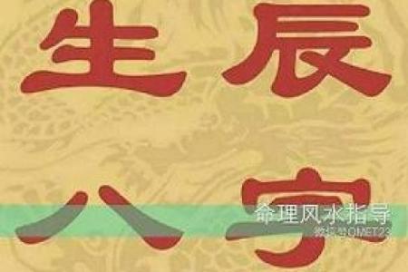 属鸡人的命理解析：聪明机智与坚定决心的完美结合