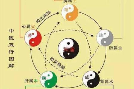 男长流水与什么命最配？探寻相生相克的命理之道