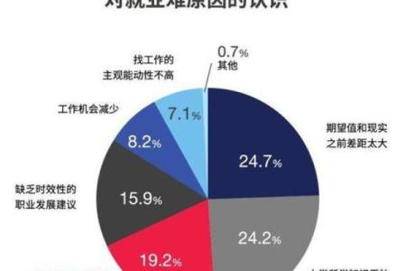 适合命局带贵气的职场选择:开启你的辉煌人生之路
