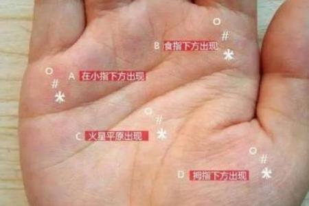 女人手上特征与命运的秘密:从手相看幸福与成功的可能性