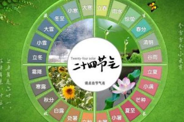 探索命运之路：从属相看人生的每一年