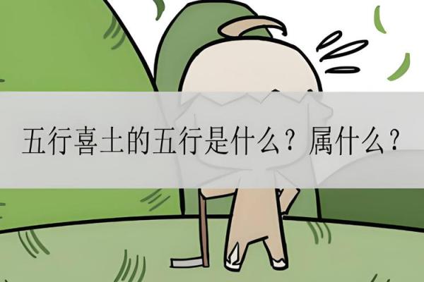 命里土命的深意：探秘土元素在命理中的影响与人生命运的关系