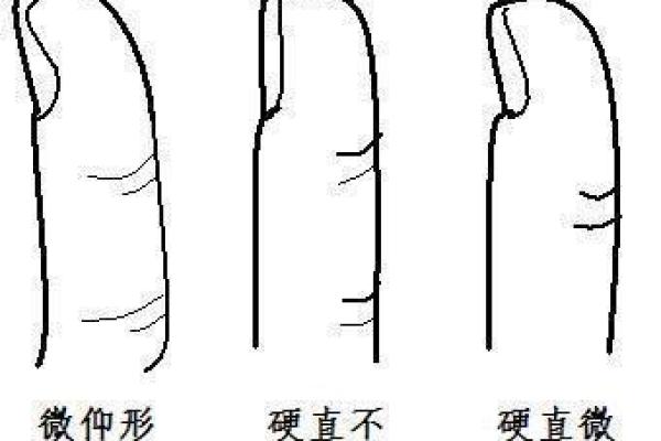 农历七月初四出生的人：命运的秘密与性格特征分析