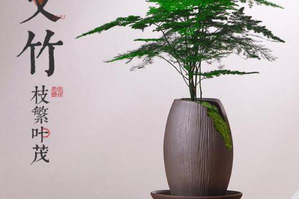 木命人办公桌适合摆放的花卉推荐与风水解析