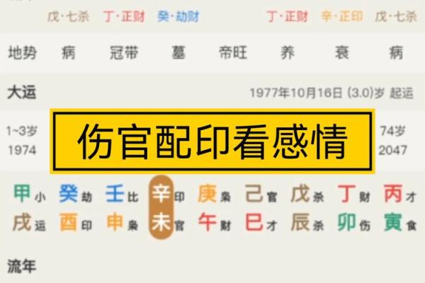 女命伤官佩印，如何选择适合的大运？