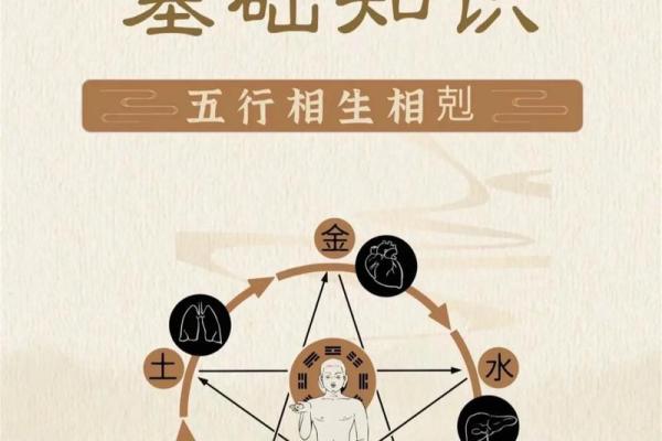 平地木命与哪些命相克？解密五行相生相克的奥秘！