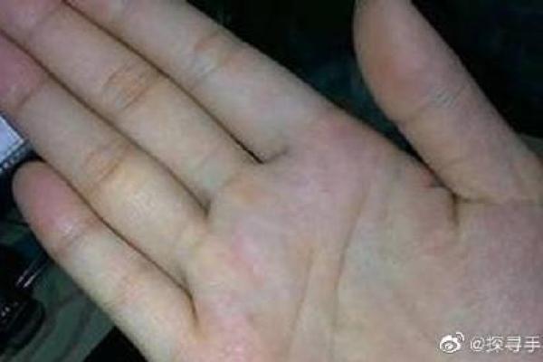 九四年十月三号出生的命运解析：探寻人生的真谛与无限可能