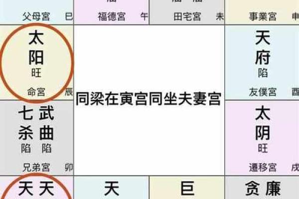 命理解读：探究“宫”的深意与人生影响