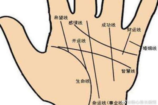 手相揭秘：你的命运在手掌中藏着哪些秘密？