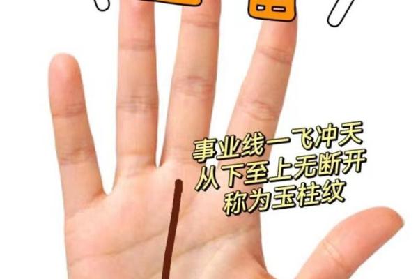 手相揭秘：你的命运在手掌中藏着哪些秘密？
