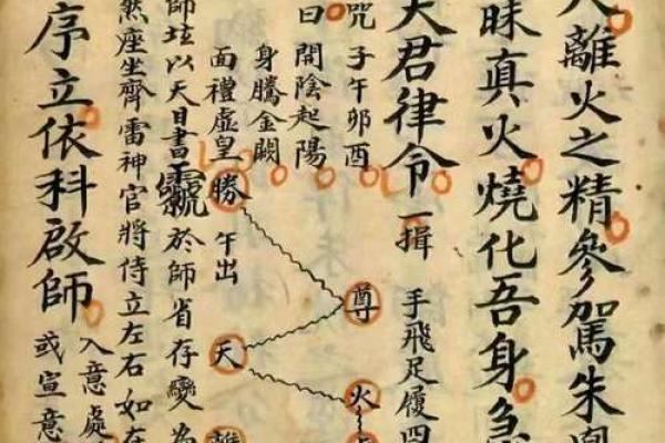 女命贵夫格：天干地支中的命理奥秘