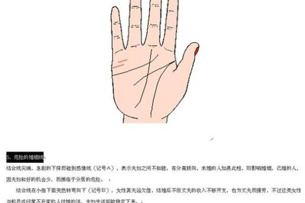 解密女人手掌纹路：透视命运与个性生活的秘密