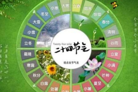 探索命运之路:从属相看人生的每一年