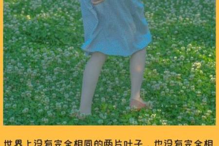 六月初一出生的女孩:命运与性格的神秘之旅