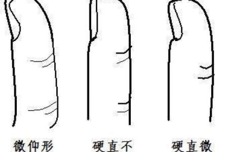 农历七月初四出生的人:命运的秘密与性格特征分析