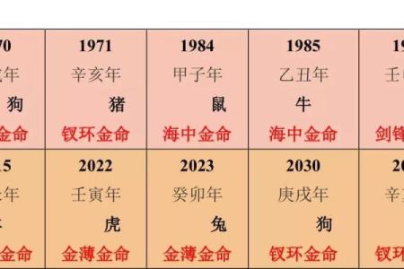 木命与水命:适合你的行业选择指南