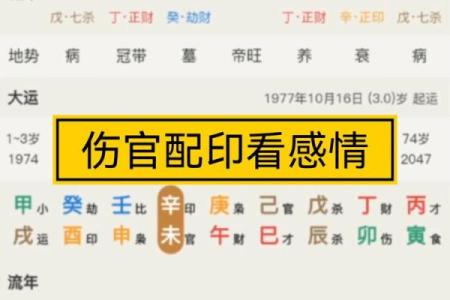 女命伤官佩印，如何选择适合的大运？