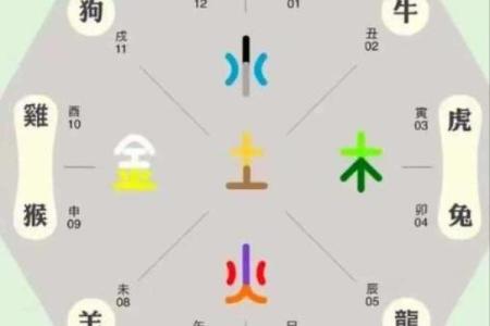 探秘命理：命财多身弱的深层意义与解读