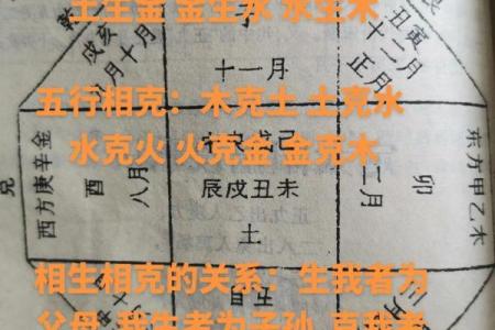 木命与其他命理的相生相克分析:探寻木命的命运真谛