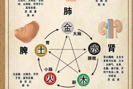 平地木命与哪些命相克？解密五行相生相克的奥秘！