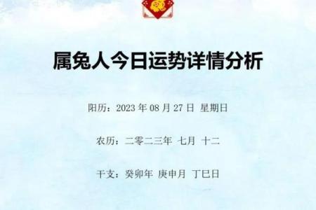 六月属兔的人命理特点与性格解析,职场与感情全攻略
