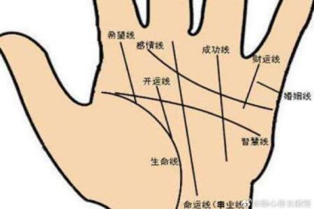 手相揭秘：你的命运在手掌中藏着哪些秘密？