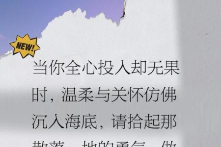 拼了命的爱——为爱情倾尽所有的勇气与坚持