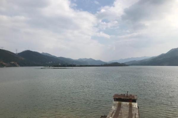 牛年阴历十月初三的命理解析与人生指引