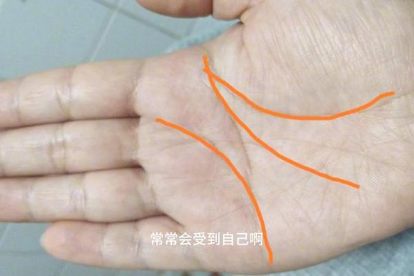 探索手纹学：揭示命运的神秘符号与最佳手纹解析