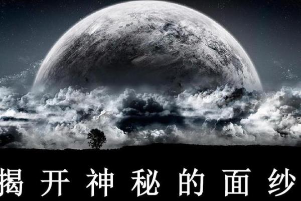 如何免费看自己五行属什么命，揭开命理的神秘面纱