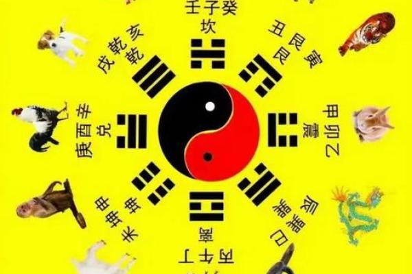 女命婚姻宫财星旺：探秘幸福婚姻的深层密码